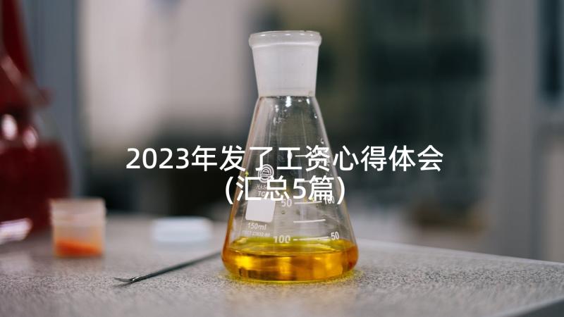 2023年发了工资心得体会(汇总5篇)