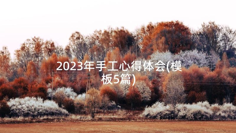 2023年手工心得体会(模板5篇)