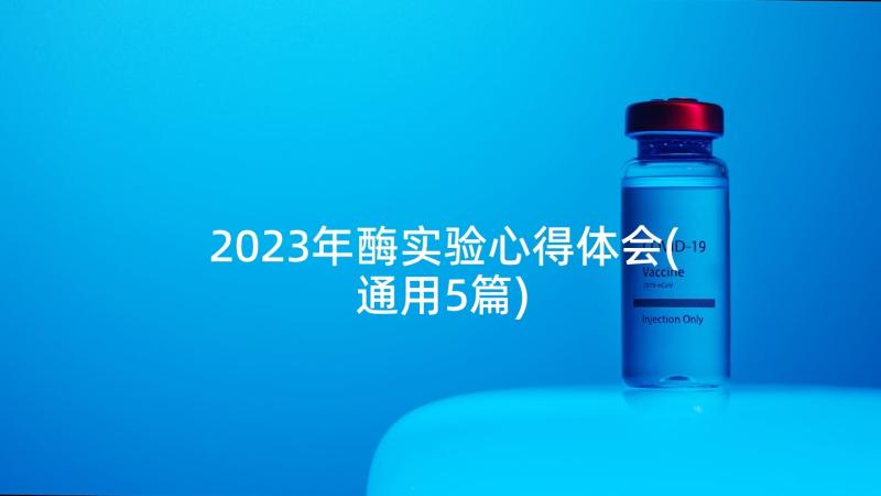 2023年酶实验心得体会(通用5篇)
