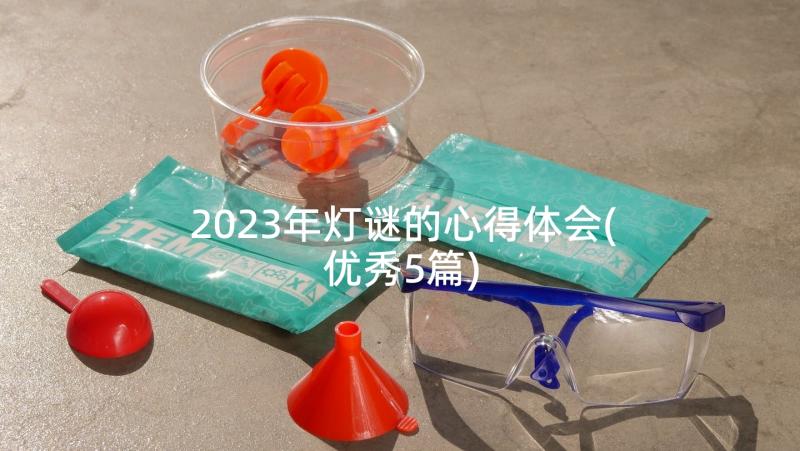 2023年灯谜的心得体会(优秀5篇)