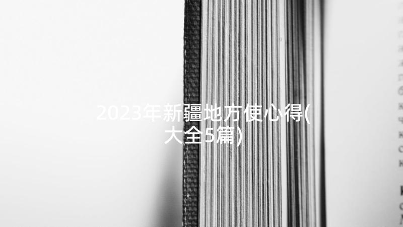 2023年新疆地方使心得(大全5篇)