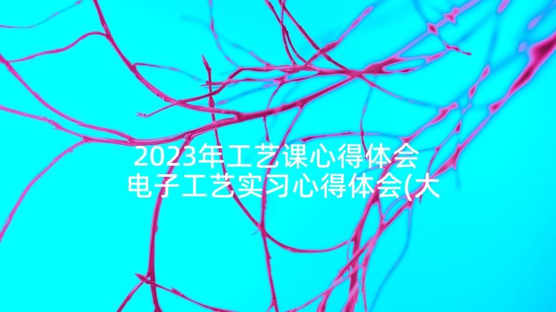 2023年工艺课心得体会 电子工艺实习心得体会(大全5篇)