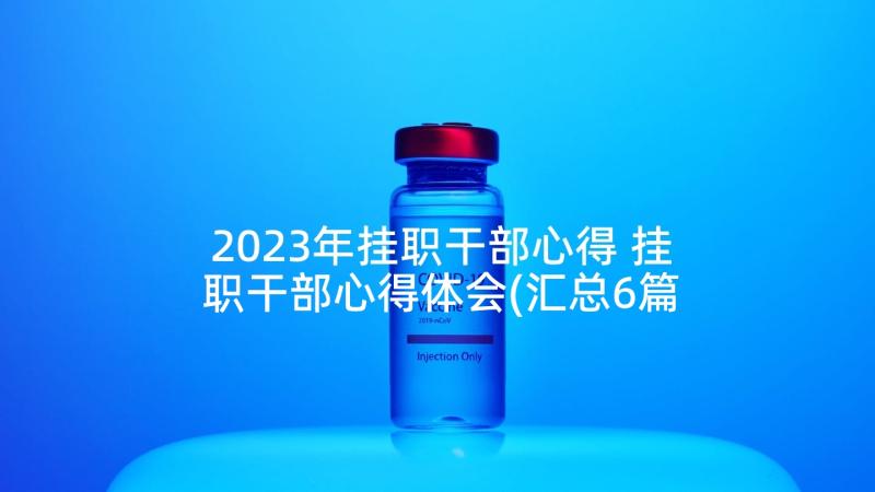 2023年挂职干部心得 挂职干部心得体会(汇总6篇)