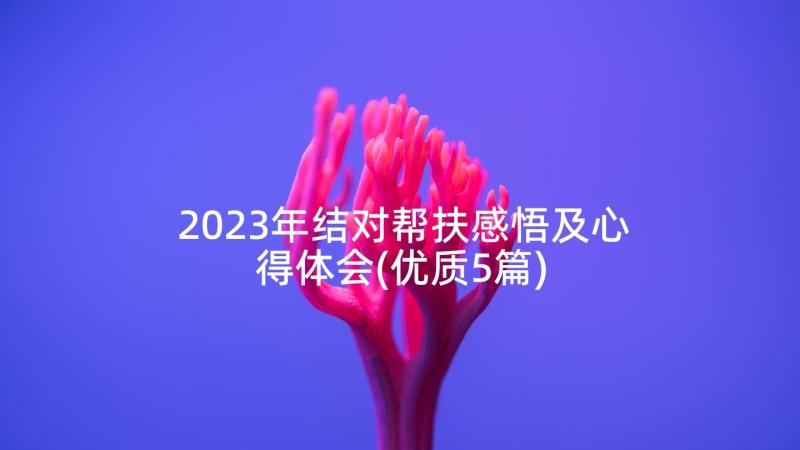 2023年结对帮扶感悟及心得体会(优质5篇)