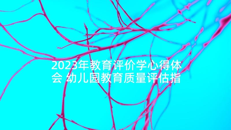 2023年教育评价学心得体会 幼儿园教育质量评估指南心得体会(优质5篇)