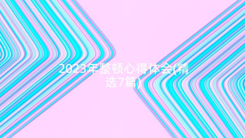 2023年整顿心得体会(精选7篇)