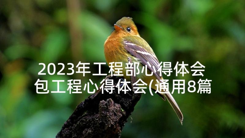 2023年工程部心得体会 包工程心得体会(通用8篇)