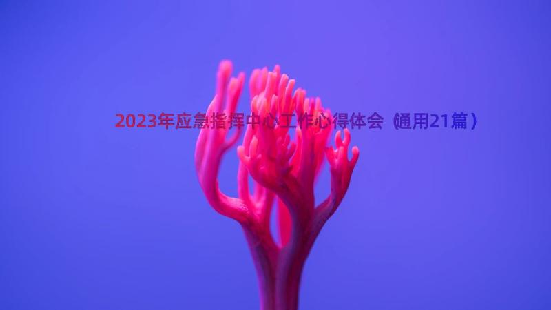 2023年应急指挥中心工作心得体会（通用21篇）