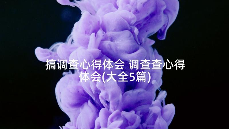 搞调查心得体会 调查查心得体会(大全5篇)