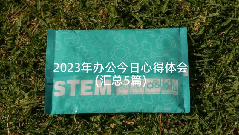 2023年办公今日心得体会(汇总5篇)