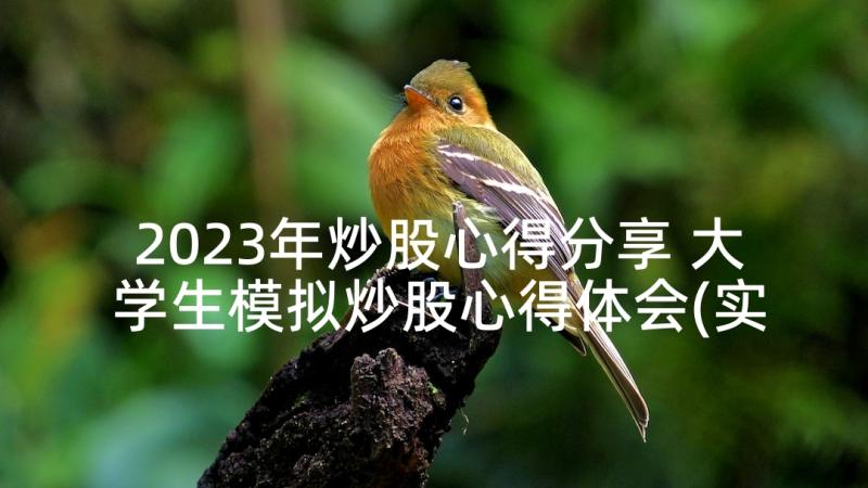 2023年炒股心得分享 大学生模拟炒股心得体会(实用5篇)