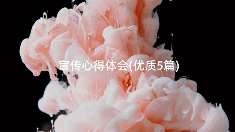 宣传心得体会(优质5篇)