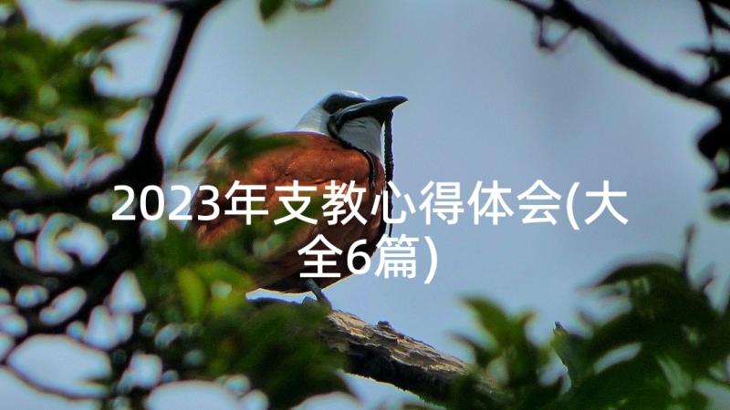 2023年支教心得体会(大全6篇)