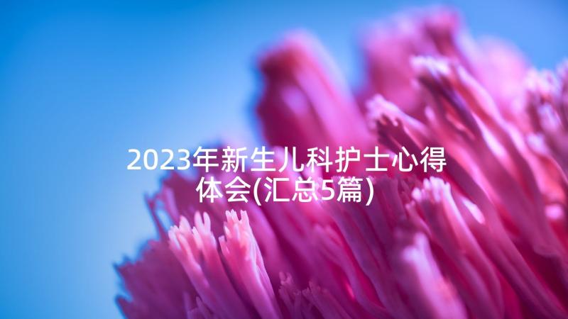 2023年初中政治青春的邀约教案(优秀6篇)