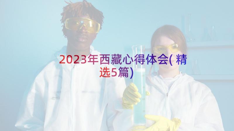 2023年西藏心得体会(精选5篇)