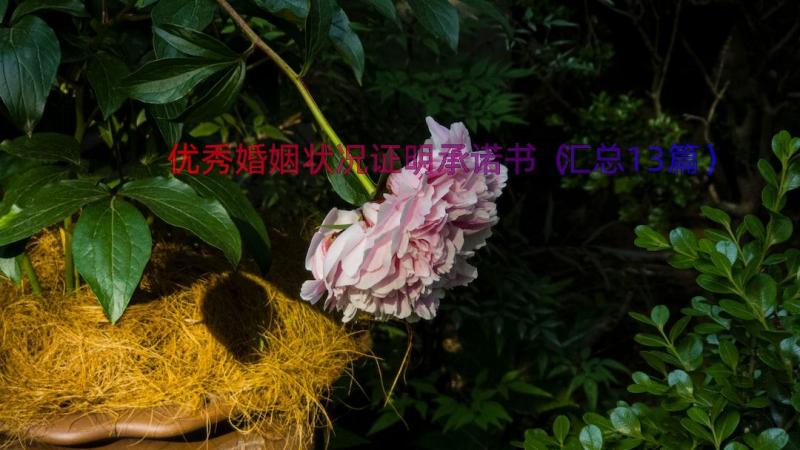 优秀婚姻状况证明承诺书（汇总13篇）