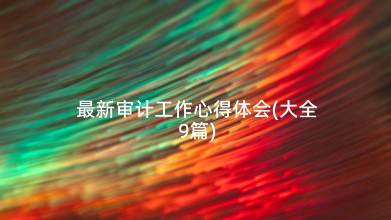 最新审计工作心得体会(大全9篇)