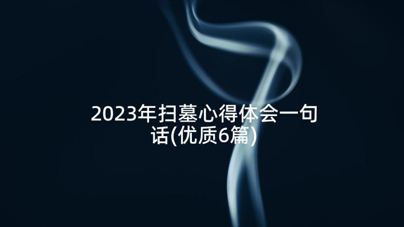 2023年扫墓心得体会一句话(优质6篇)