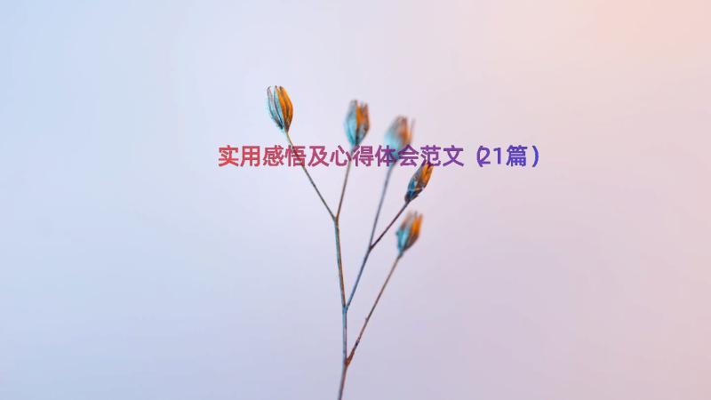 实用感悟及心得体会范文（21篇）