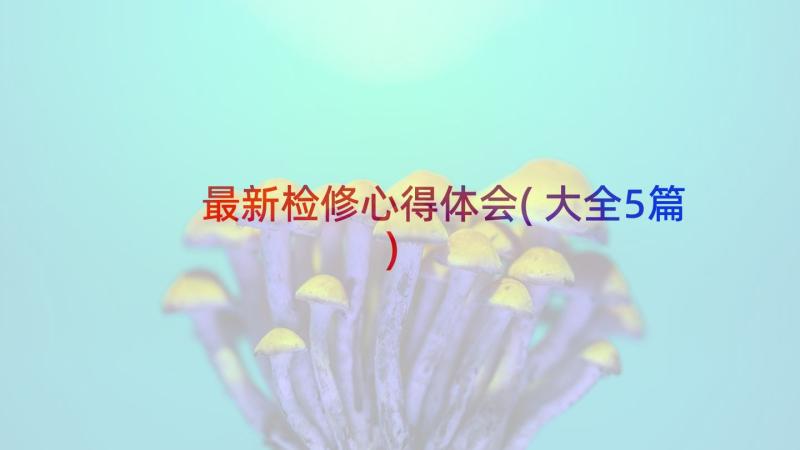 最新检修心得体会(大全5篇)