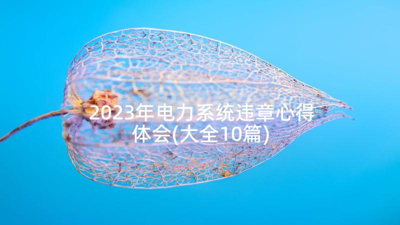 2023年电力系统违章心得体会(大全10篇)