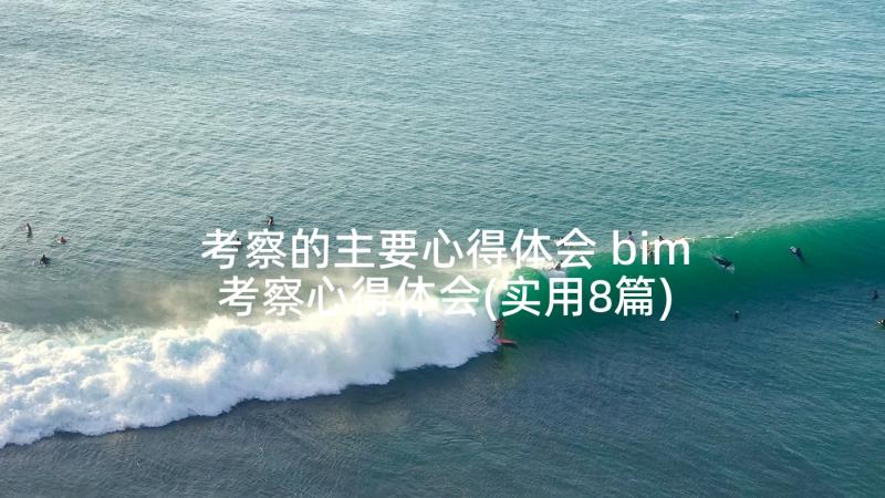 考察的主要心得体会 bim考察心得体会(实用8篇)