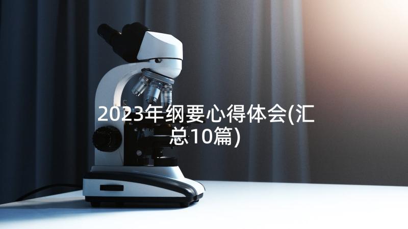 2023年纲要心得体会(汇总10篇)