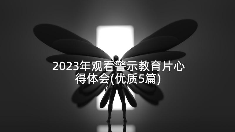 2023年观看警示教育片心得体会(优质5篇)