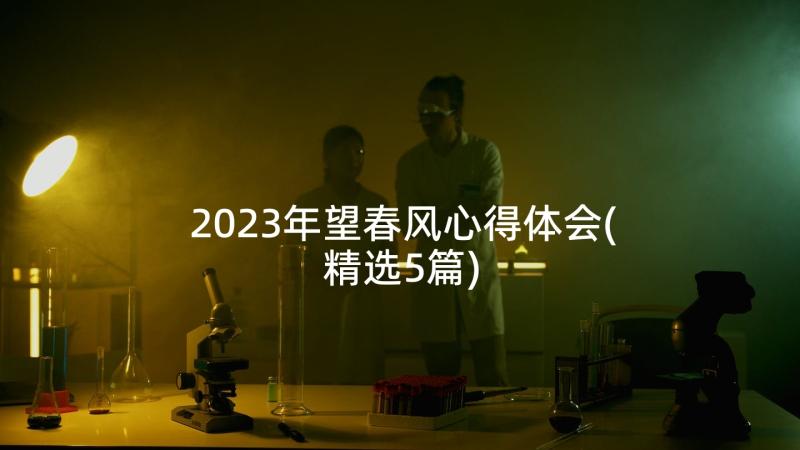 2023年望春风心得体会(精选5篇)