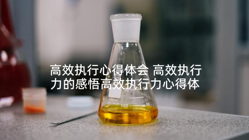 高效执行心得体会 高效执行力的感悟高效执行力心得体会(优秀9篇)