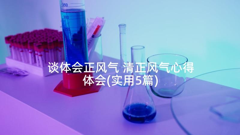 谈体会正风气 清正风气心得体会(实用5篇)