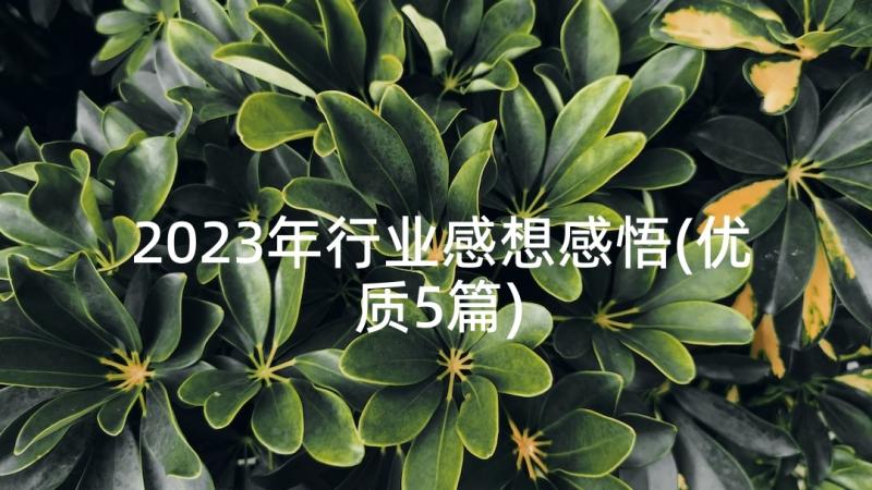 2023年行业感想感悟(优质5篇)