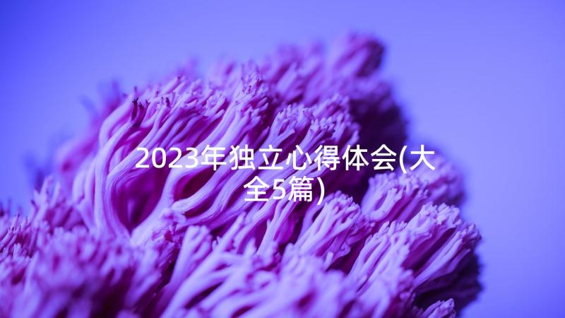 2023年独立心得体会(大全5篇)