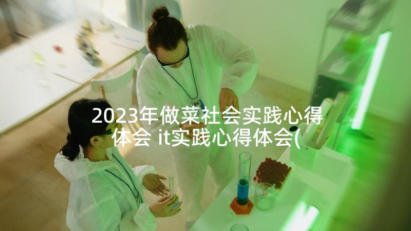 2023年做菜社会实践心得体会 it实践心得体会(优质8篇)