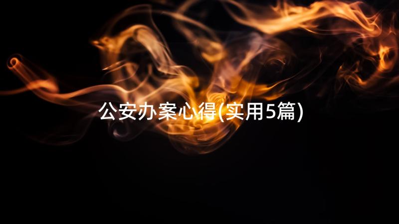 公安办案心得(实用5篇)