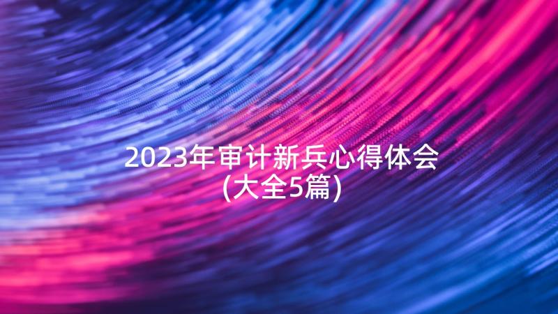 2023年审计新兵心得体会(大全5篇)