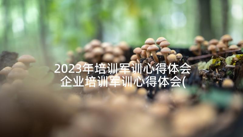 2023年培训军训心得体会 企业培训军训心得体会(汇总7篇)