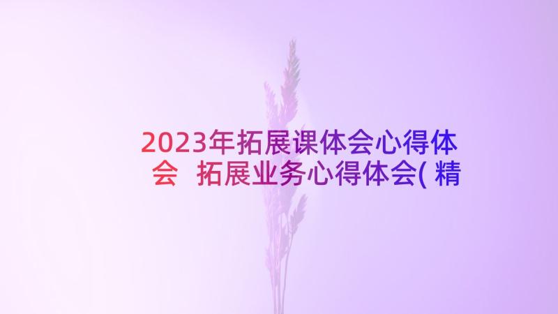 2023年拓展课体会心得体会 拓展业务心得体会(精选8篇)