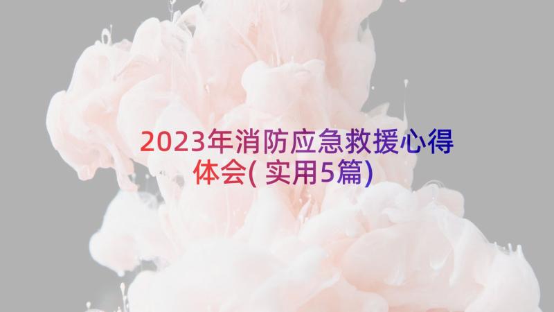 2023年消防应急救援心得体会(实用5篇)