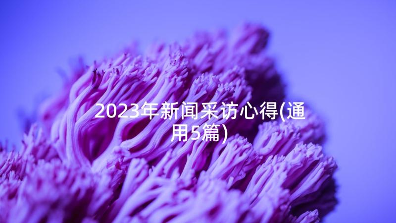 2023年新闻采访心得(通用5篇)