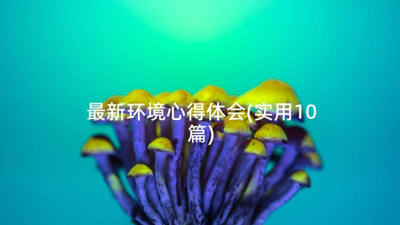 最新环境心得体会(实用10篇)