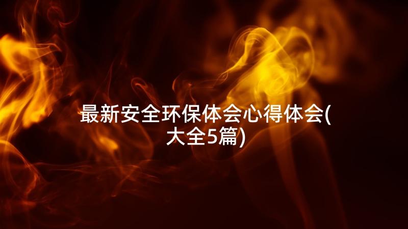 最新安全环保体会心得体会(大全5篇)