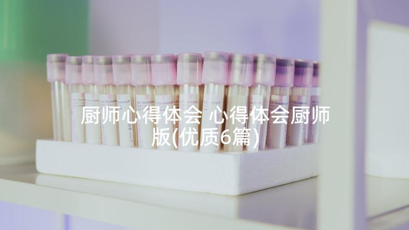 厨师心得体会 心得体会厨师版(优质6篇)