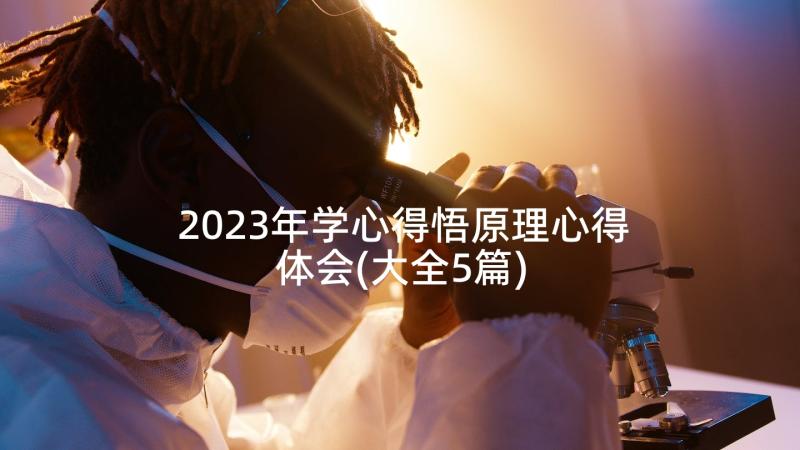 2023年学心得悟原理心得体会(大全5篇)