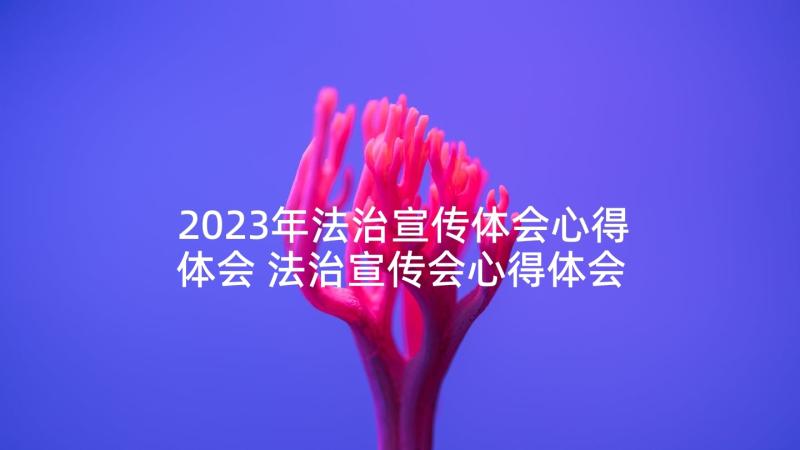 2023年法治宣传体会心得体会 法治宣传会心得体会(优质5篇)