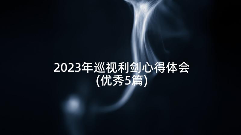 2023年巡视利剑心得体会(优秀5篇)