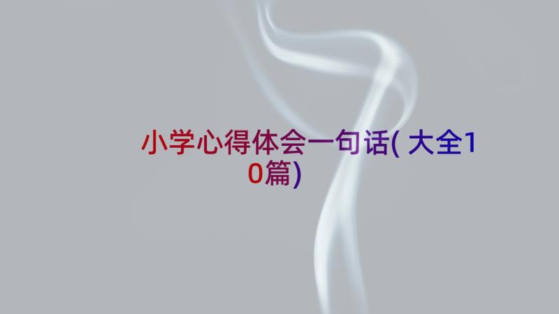 小学心得体会一句话(大全10篇)