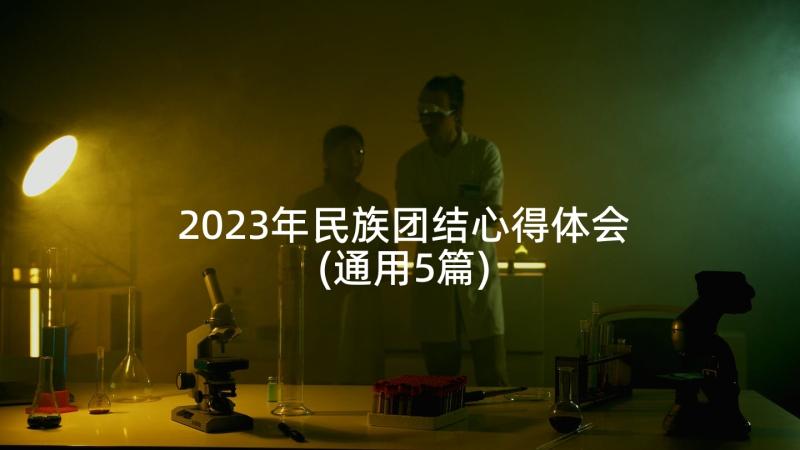 2023年民族团结心得体会(通用5篇)