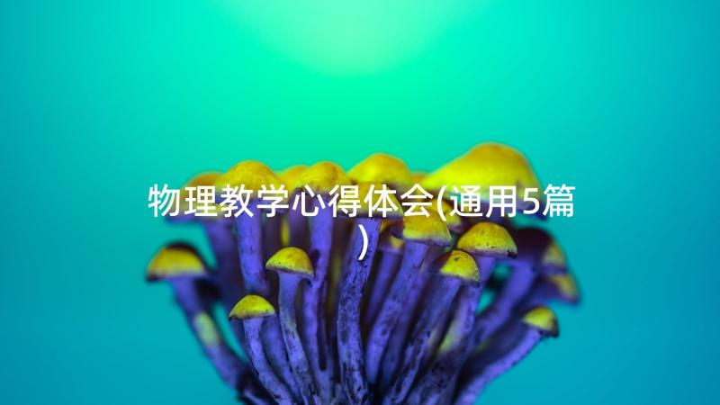 物理教学心得体会(通用5篇)