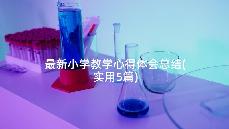 最新小学教学心得体会总结(实用5篇)